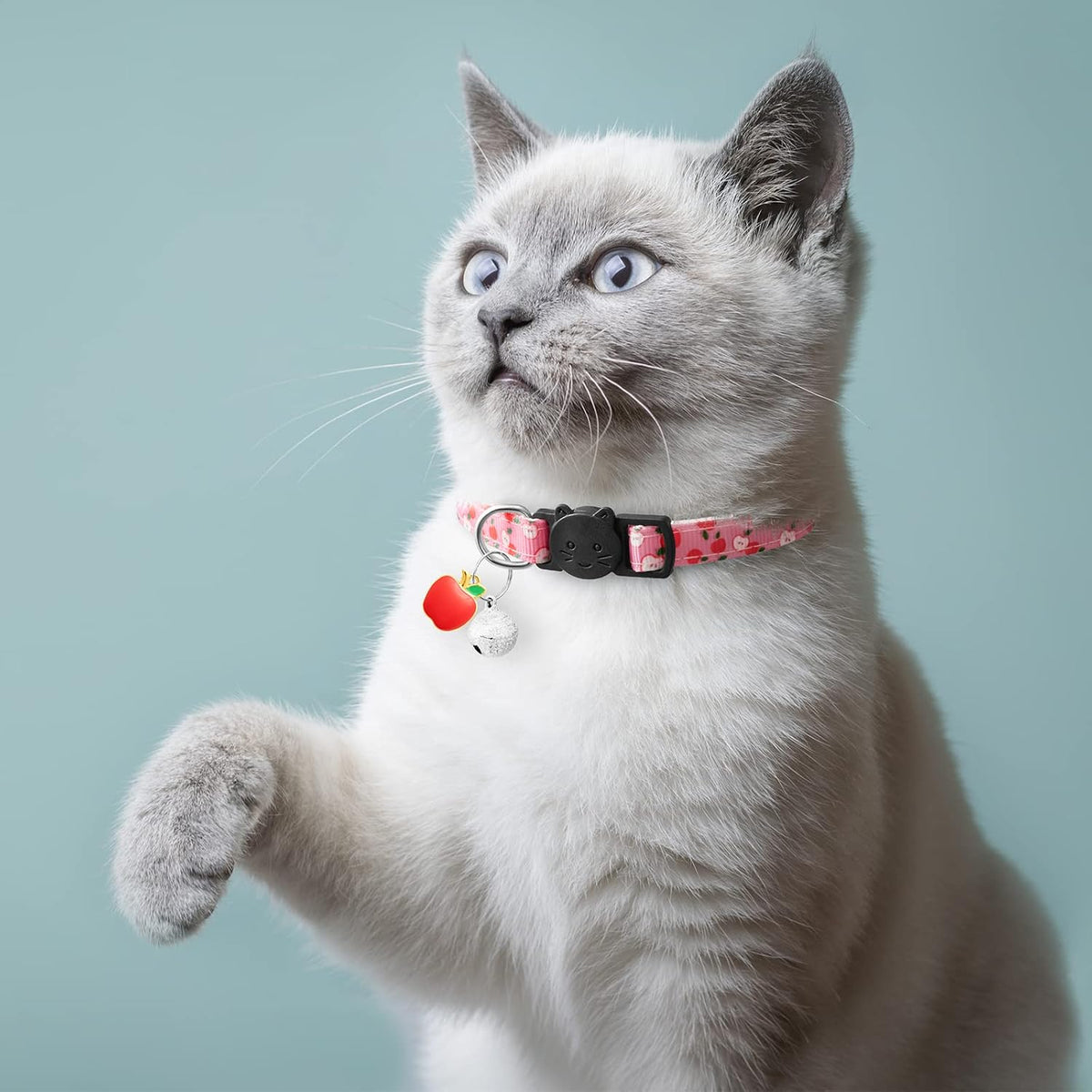 7 Pack Breakaway Cat Collars with Bells & Fruit Pendants - image 2