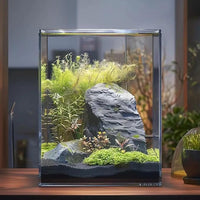 2 Gallon Glass Fish Tank, Easy to Maintain Small Aquarium for Betta/Snails/Shrimp and Aquatic Planting.