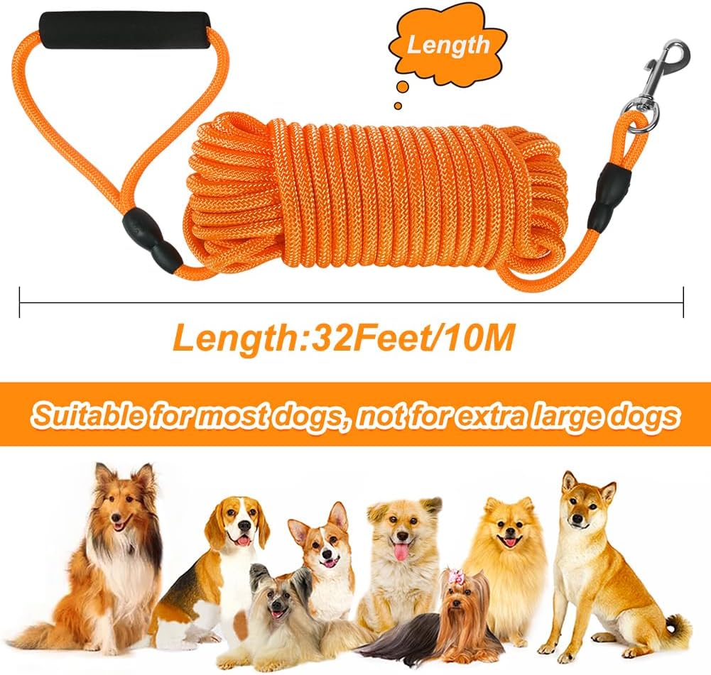 Vivifying Floating Long Dog Leash - 32ft (Pack of 2) / Orange - image 2