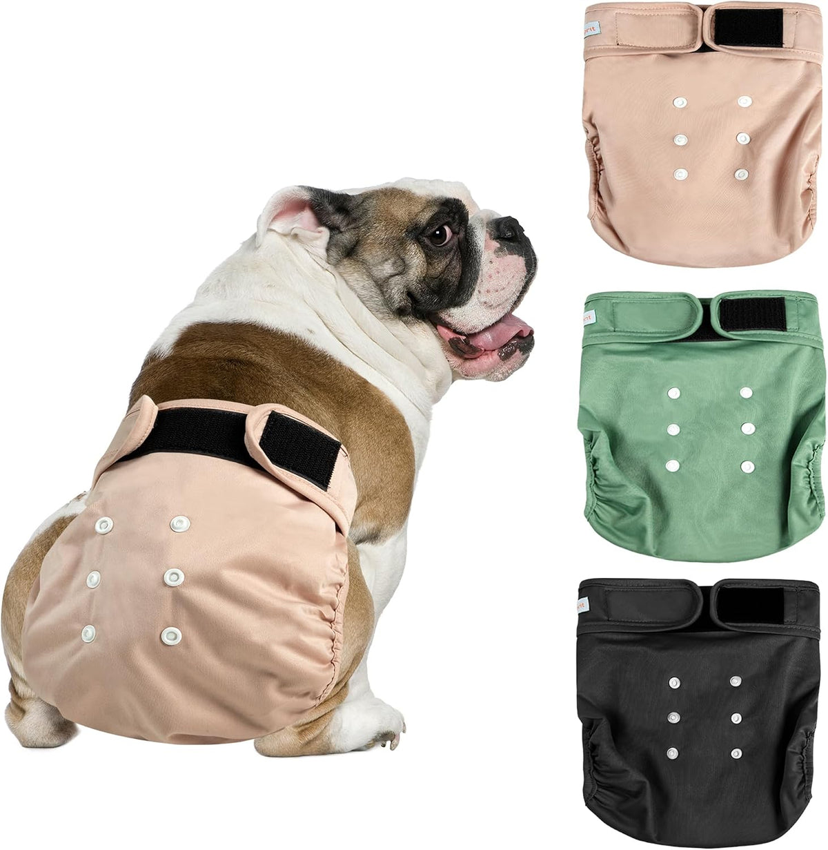 Langsprit Frenchie Female Dog Diapers No Tail Hole - Large / Pink,Green,Black