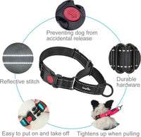 Haapaw Escape-Proof Martingale Dog Collar - Black / M / 2-Pack Collars - image 3