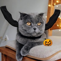 Dog Halloween Costume, Halloween Bat Wings for Dogs Cats - Small - image 4