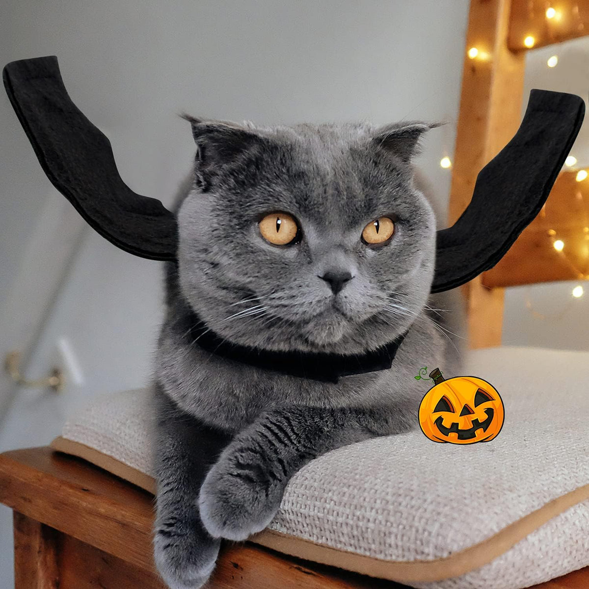 Dog Halloween Costume, Halloween Bat Wings for Dogs Cats - Small - image 4