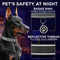 Reflective Neoprene Padded Dog Collar with Quick Release Buckle – Essentials for Dogs - Gray / XX-Small - image 4