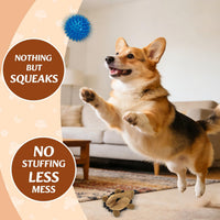 2-in-1 No-Stuffing Hedgehog Dog Toys 3 PCS - Hedgehog 5pack - image 3