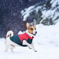 ASENKU Dog Winter Coat Dog Fleece Puffer Jacket for Small Medium - Large / Red&Navy - image 4