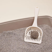 Boxie Extra Strength Cat Litter, Lightweight 35-Day Odor Control, Clumping, 11.5lb
