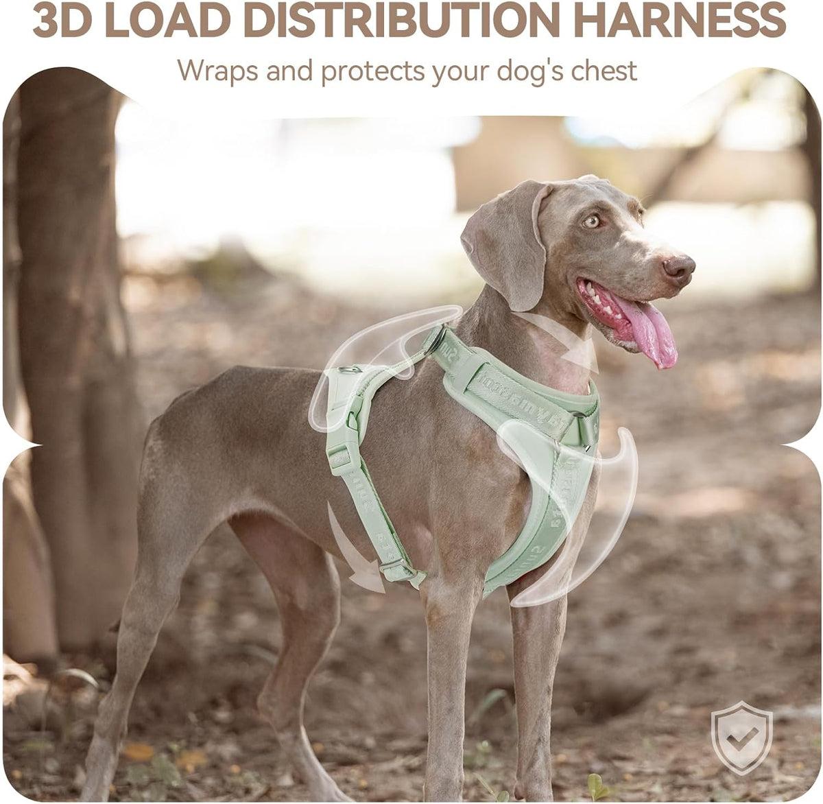 Sunraymascota Dog Harness - M (Neck: 16-26", Chest: 21-31") / Light Green - image 4