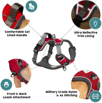 Embark No Pull Dog Harness, Reflective Adjustable Training Vest - XS / Red - image 2