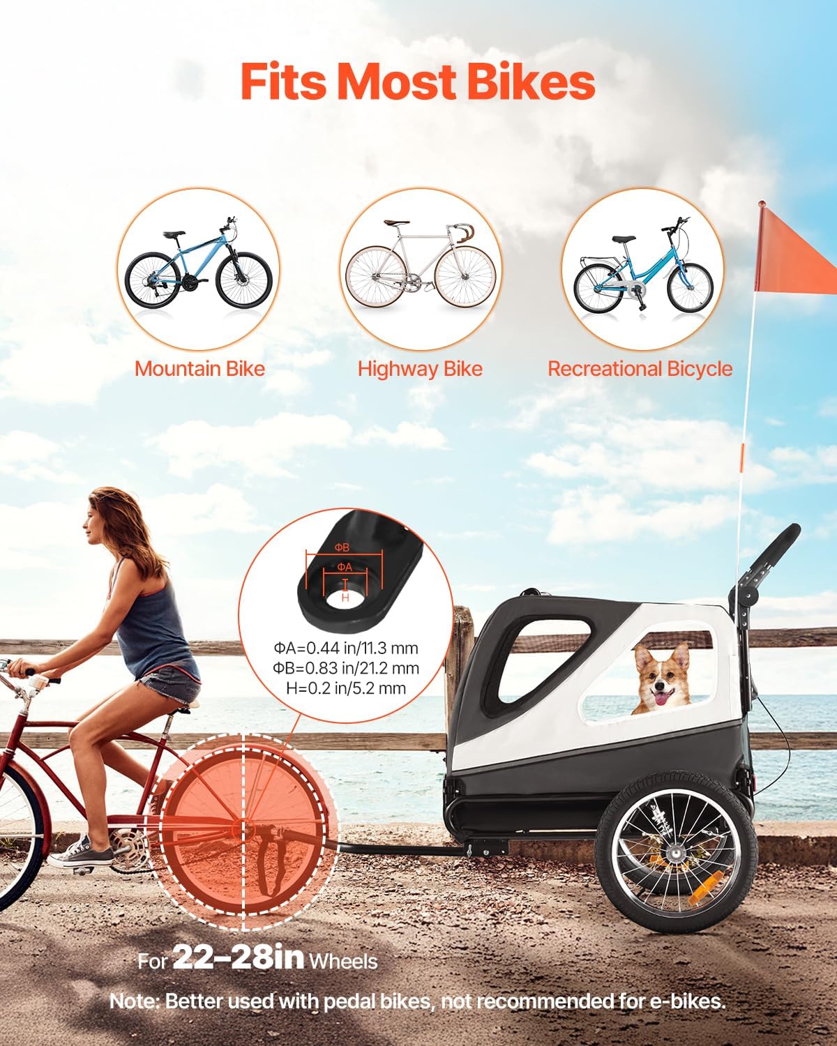 VEVOR Dog Bike Trailer, 2-in-1 Bicycle Carrier Supports up to – Essentials for Dogs - image 2