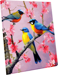 Paint by Numbers DIY Acrylic Painting Kit for Kids & Adults Beginner - Bird Framed