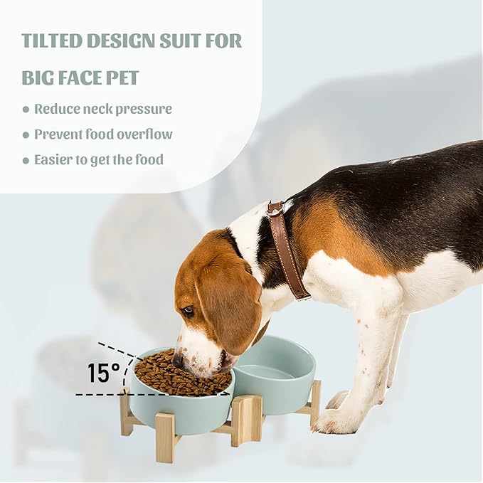 SPUNKYJUNKY 15° Slanted Ceramic Dog and Cat Bowl with Wooden Stand, Tilted Bulldog Food and Water Bowl No Slip Non-Spill for Cats Medium Dogs Big Face Pets 28.7 OZ (3.6 Cups, Morandi Green × 2)