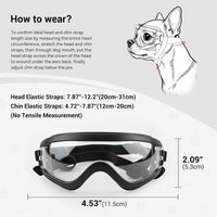 Dog Goggles for Small Breeds - Medium / Clear - image 3
