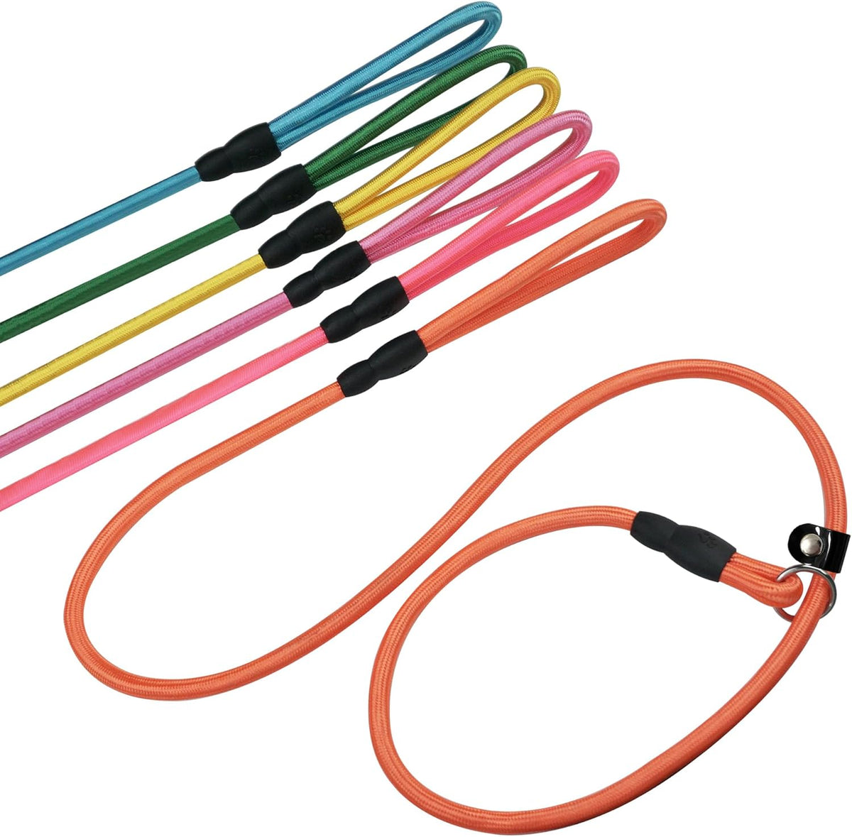 FOVRLZSE 5-Pack Dog Slip Leashes 4.6FT Nylon Training Lead - Pastel Hue
