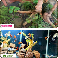 Aquarium Driftwood 3PCS Natural Trunk Driftwood Assorted Branches - Spiderwood (6-8in 6PCS) - image 4