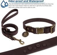 Wisedog Rubber Dog Collar with Quick Release, XS 8.5"-12" - Brown / XS(Collar:8.5"-12";Leash:4 ft) - image 4