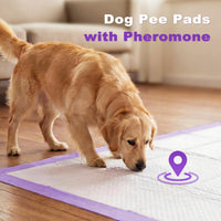 MIZOK Dog Pee Pads Wee Wee Pads Lavender Odor Control XXL 30x36in – Essentials for Dogs - Jumbo 36"x36“ 30 Counts - image 3