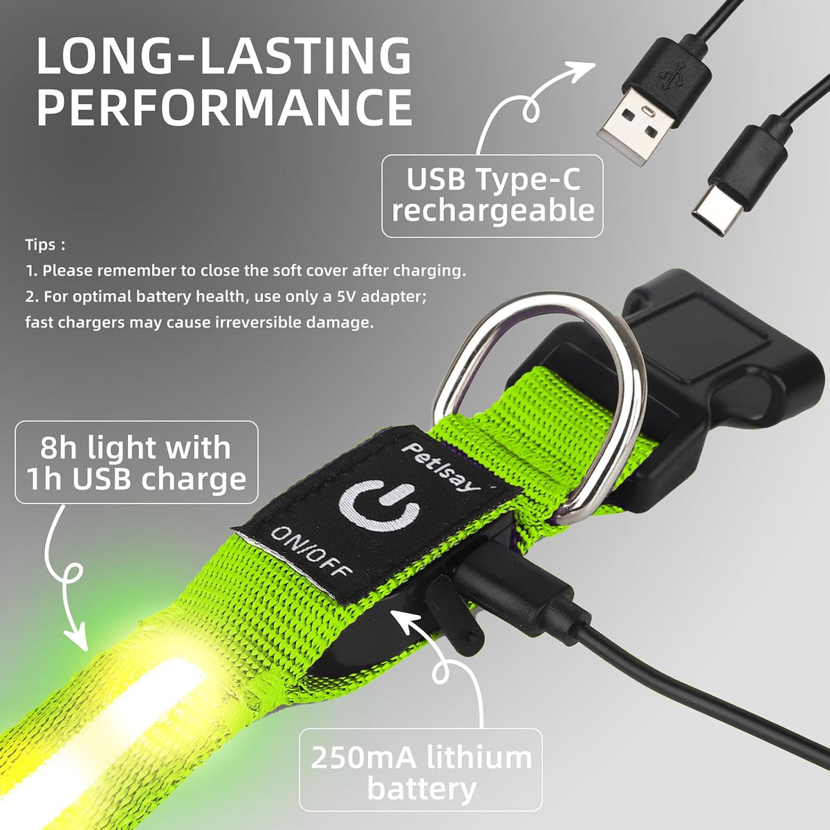 Super Bright LED Dog Collar, Waterproof Light up Collars – Essentials for Dogs - M (Width:1",Length:14.5" - 19.5") / Green - image 3