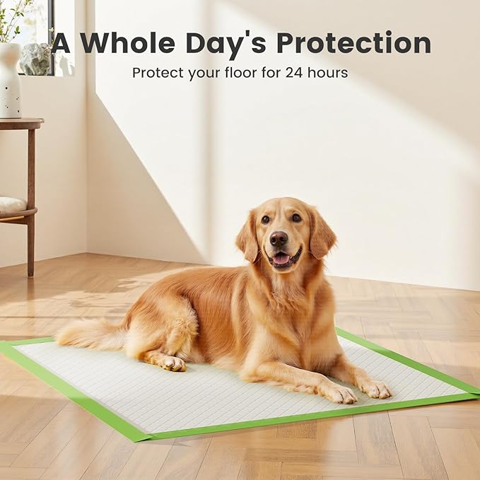 Gardner Pet Dog Pee Pads Extra Large 28"x34", XL Thicker ECO Green Disposable Puppy Training Pads Super Absorbent Full Edge-Wrapping Pad for Dogs, Puppies, Cats, Rabbits (10 Count)