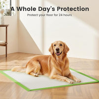 Gardner Pet Dog Pee Pads Extra Large 28"x34", XL Thicker ECO Green Disposable Puppy Training Pads Super Absorbent Full Edge-Wrapping Pad for Dogs, Puppies, Cats, Rabbits (100 Count)