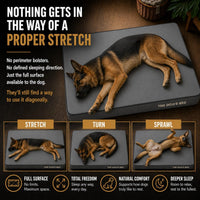The Dog’s Bed Orthopedic Memory Foam Dog Bed - Grey with Black Trim / XL Beds (6" deep) - image 3