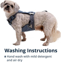 Ruffwear, Load Up Dog Car Harness - Slate Blue / Large - image 2