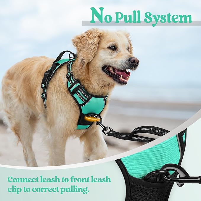 rabbitgoo Dog Harness No Pull with 2 Leash Clips, Adjustable Soft Padded, Reflective Oxford No Choke Pet Vest with Easy Control Handle for Large Dogs, Turquoise, XL