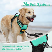 rabbitgoo Dog Harness No Pull with 2 Leash Clips, Adjustable Soft Padded, Reflective Oxford No Choke Pet Vest with Easy Control Handle for Medium Sized Dogs, Turquoise, M