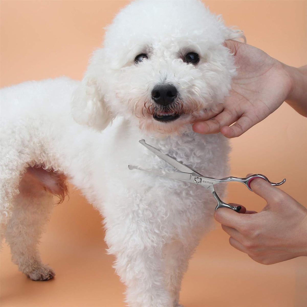 Dog Grooming Scissors with Safety Round Tips Stainless Steel – Essentials for Dogs - Pink - image 2