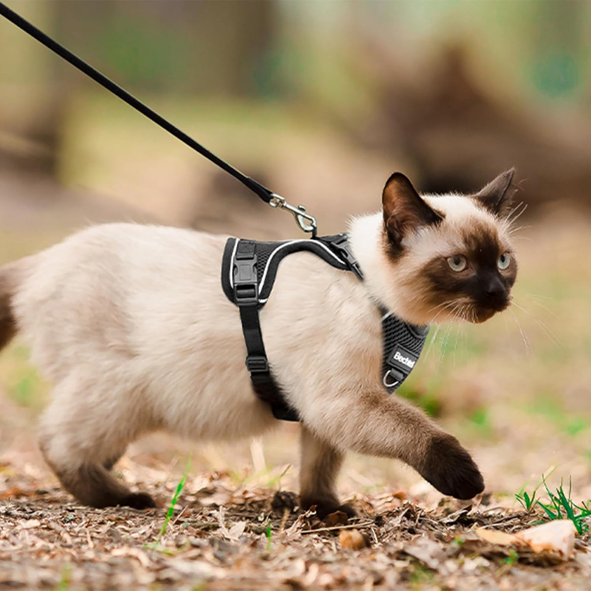 Cat Harness, Cat Harness and Leash for Walking - Black / M(7-12lb) - image 3