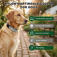 Martingale Collar for Dogs, Reflective Escape Proof, M - Sliver / Medium - image 4