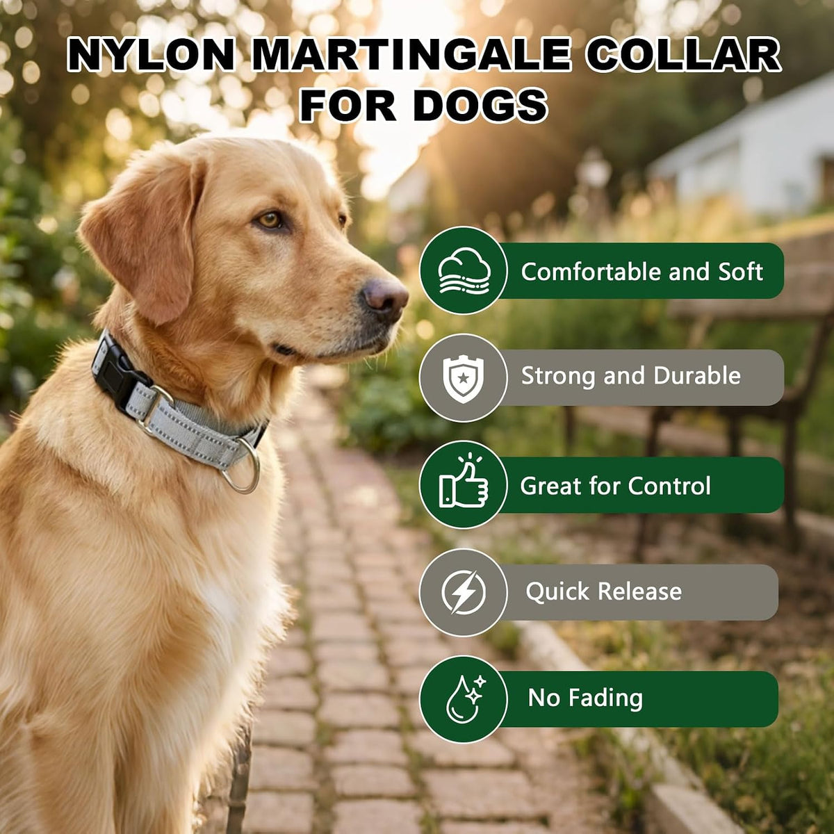 Martingale Collar for Dogs, Reflective Escape Proof, M - Sliver / Medium - image 4