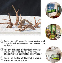 5PCS Driftwood for Aquarium 7-9in Natural Reptile Spider Wood - Large:spiderwood 7-10in 2PCS - image 4