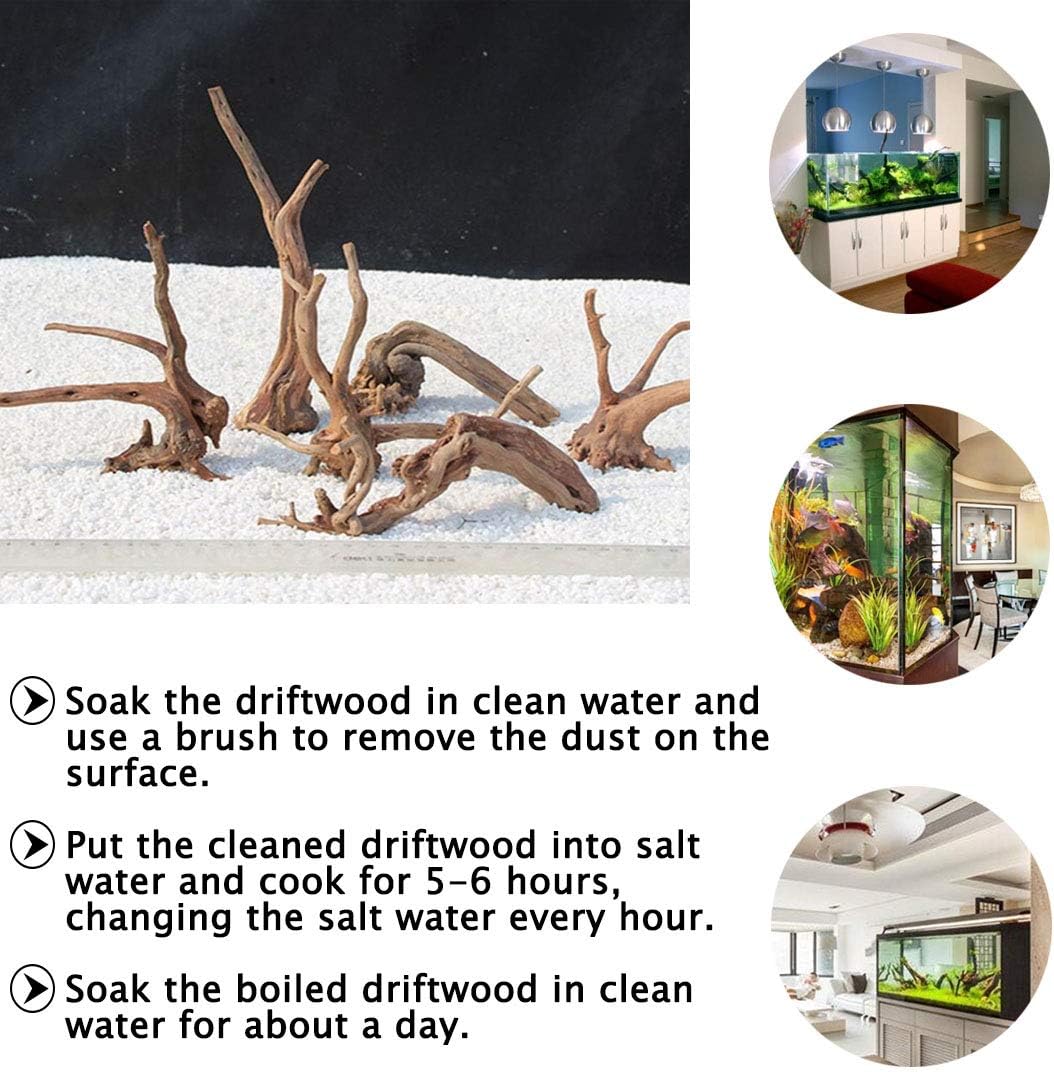 5PCS Driftwood for Aquarium 7-9in Natural Reptile Spider Wood - Large:spiderwood 7-10in 2PCS - image 4