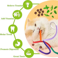 Cat Toys 21PCS Catnip Toy for Indoor Kitten Treat Cats Chew Stick for Dental Cleaning Teeth Kitten Silvervine Rope Kitty Feather Snack for for Kick Molar Scratch Self Play Interactive Boredom