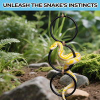 2 Pack Snake Climbing Rings for Ball Python & Corn Snake - Black - image 3