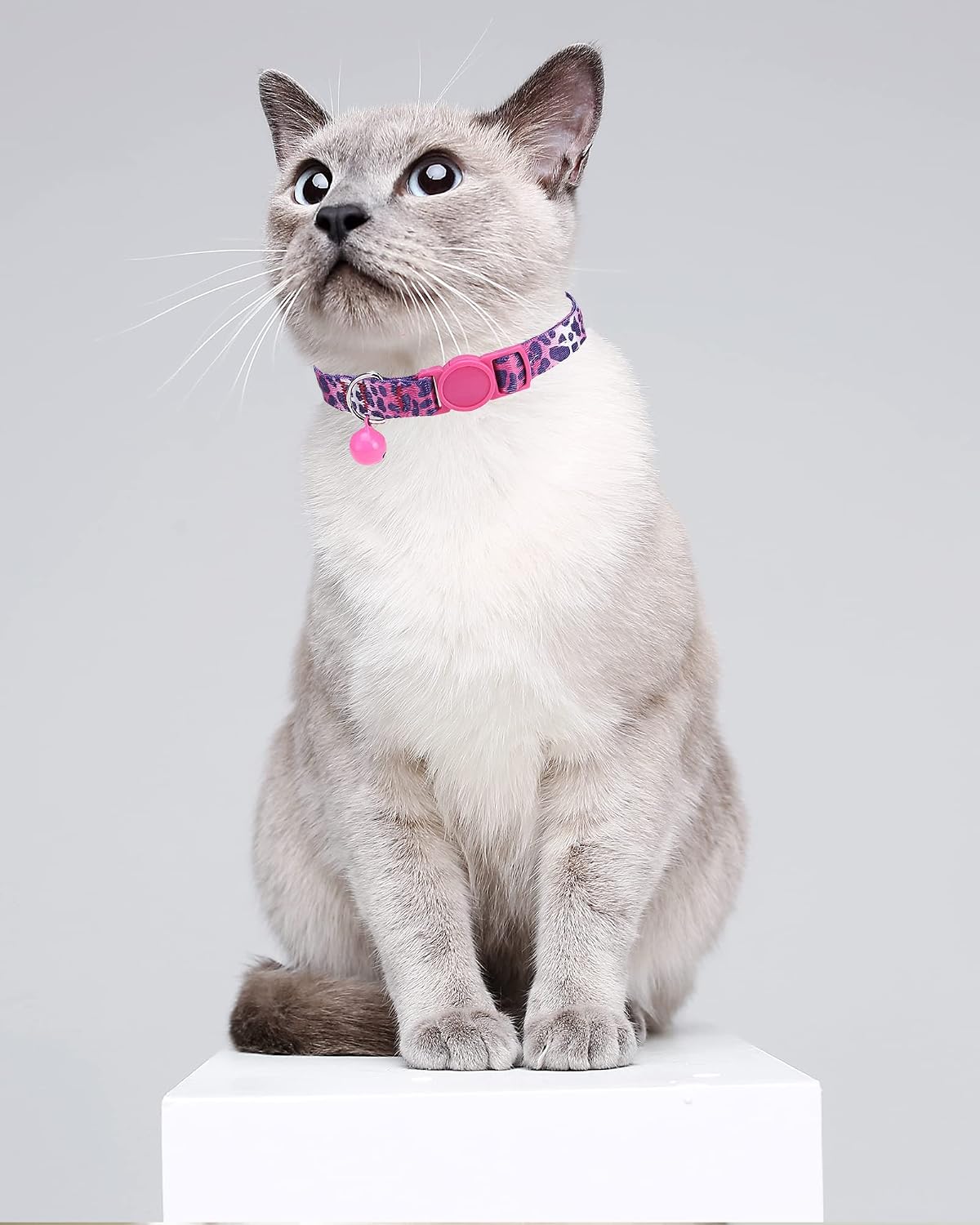 SOLMOONY Cute Cat Collar for Girl Boy - Leopard Print - image 3