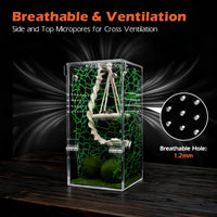 AZV Jumping Spider Enclosure Kit - Green / Small - image 3