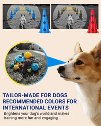 Dog Agility Course Backyard Set - 12 IN / Blue - image 4