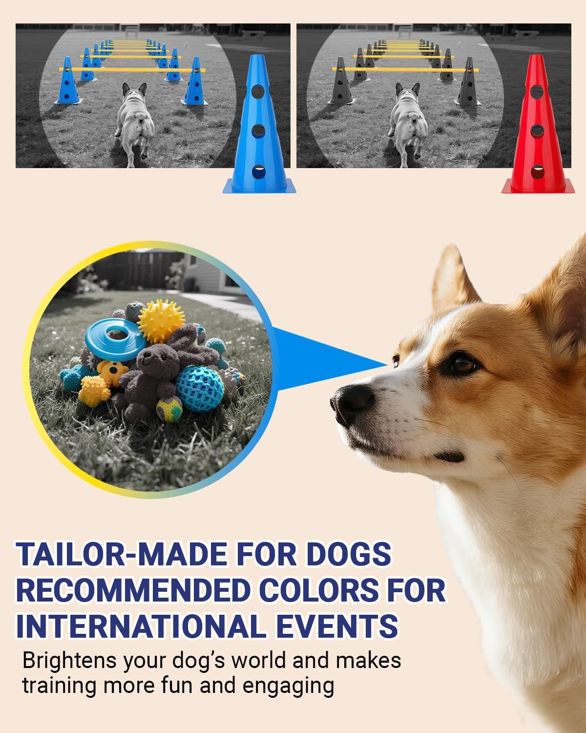 Dog Agility Course Backyard Set - 12 IN / Blue - image 4