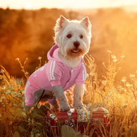 Dog Hoodie Security Clothes 4 Legs Jumpsuit Sweatshirt Hoodies Soft - Pink / XX-Small - image 4