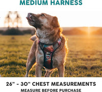 Embark Adventure Dog Harness, Reflective Trim No Pull Harness for Medium Sized Dog - Military Grade Nylon, Front Clip with Gel Lined Handle. Soft & Padded Puppy