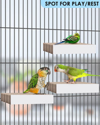 KATUMO Parrot Toys, 7.87 Inch Conure Shredder Foraging Chew Toys Bird Perch Stand Cardboard - Large - image 4