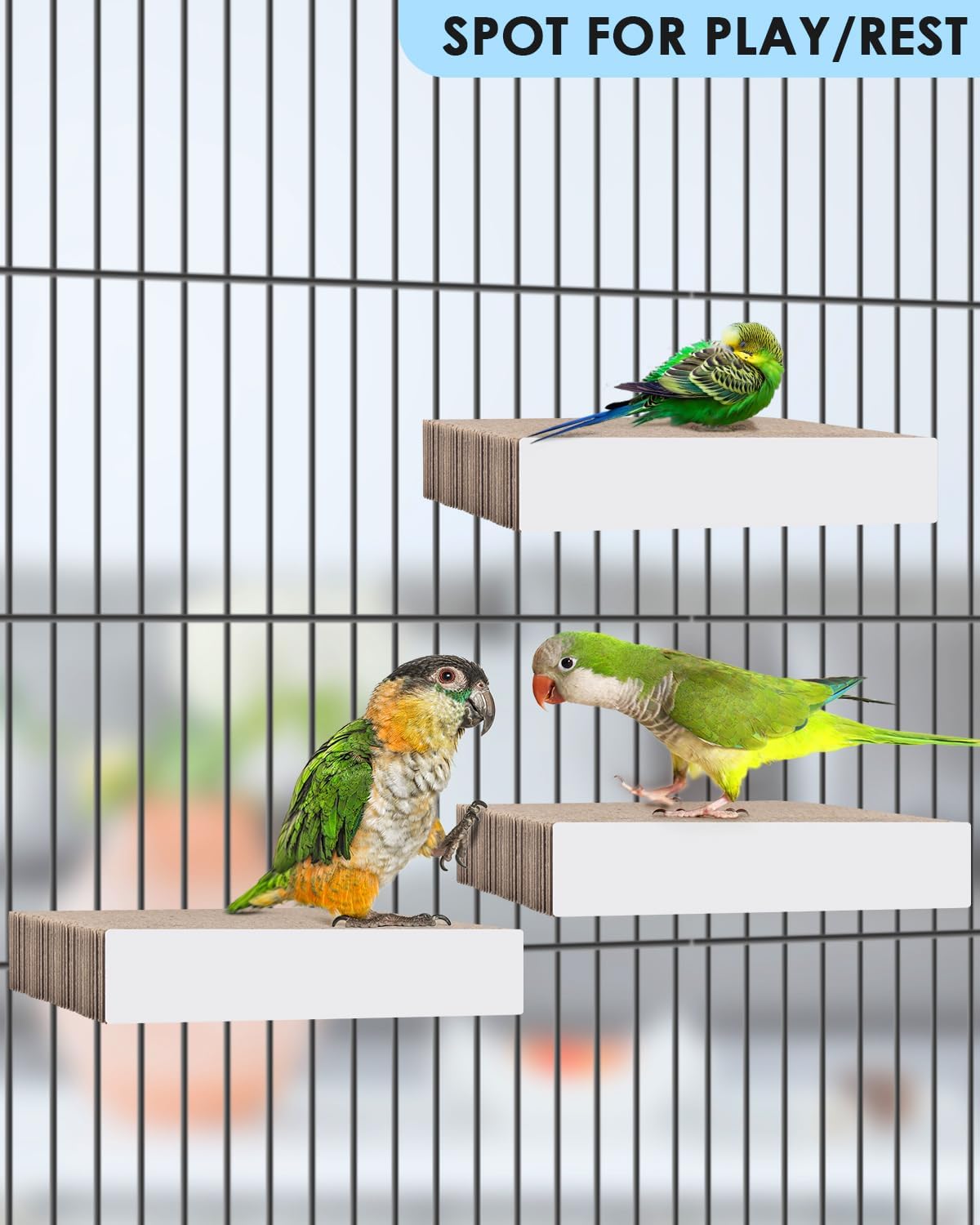 KATUMO Parrot Toys, 7.87 Inch Conure Shredder Foraging Chew Toys Bird Perch Stand Cardboard - Large - image 4