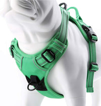 Truelove No Pull Dog Harness with Easy Control Handle and 2 Leash - X-Large / Grass Green