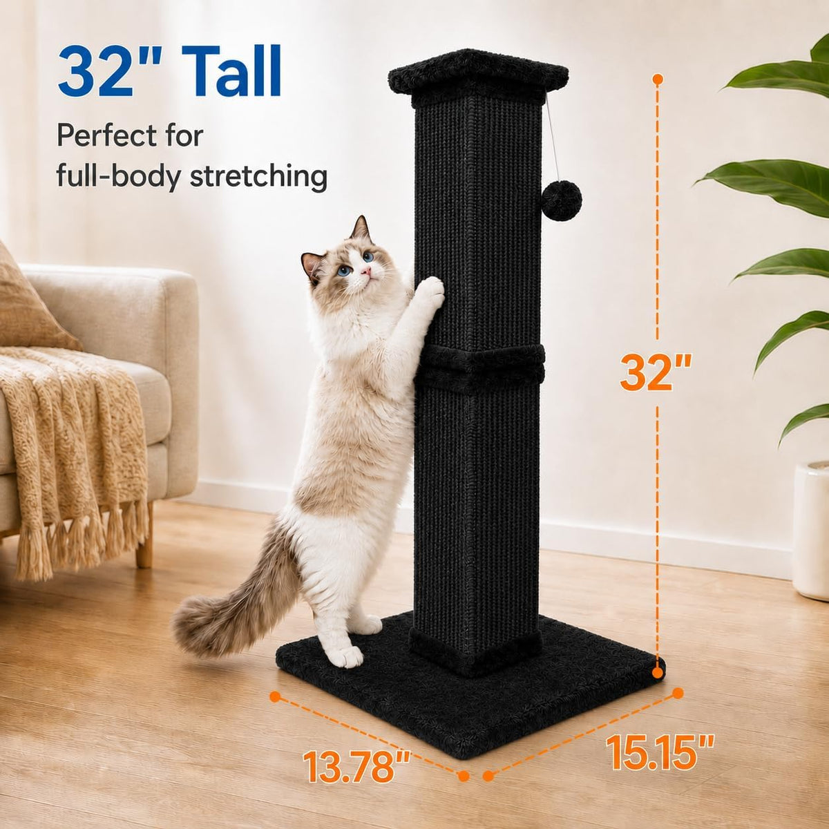 Cat Scratching Post for Indoor Cats - Pure Black / Scratcher with Ball - image 2