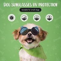 Enjoying Clear Dog Goggles Medium to Large Breed - Panda Black / X-Small Breeds - image 3
