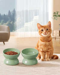 Cat Water Bowl, 15° Tilted and Raised Pet Food Dish - 2 Pack / Sage Green - image 4