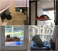 Sumergle – Essentials for Cats - image 4