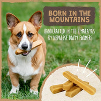 Mighty Paw Yak Cheese Chews for Dogs | All-Natural Long Lasting Treats. Odorless and Great for Oral Health. Limited-Ingredient Chews for Puppies & Power-Chewers (Large, 12 Pack)1 Count (Pack of 1)